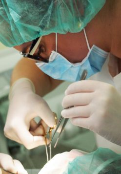 oralnokirurški-zahvat-oralna-kirurgija-nobel-biocare-implantati-najbolja-stomatološka-poliklinika-breyer